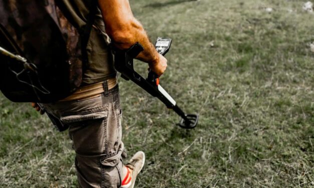 Un bărbat din Murighiol, amendat pentru folosirea ilegală a unui detector de metale