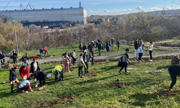 Campanie de plantare în zona cartierului „Dallas”: 800 de puieţi pentru un viitor mai verde