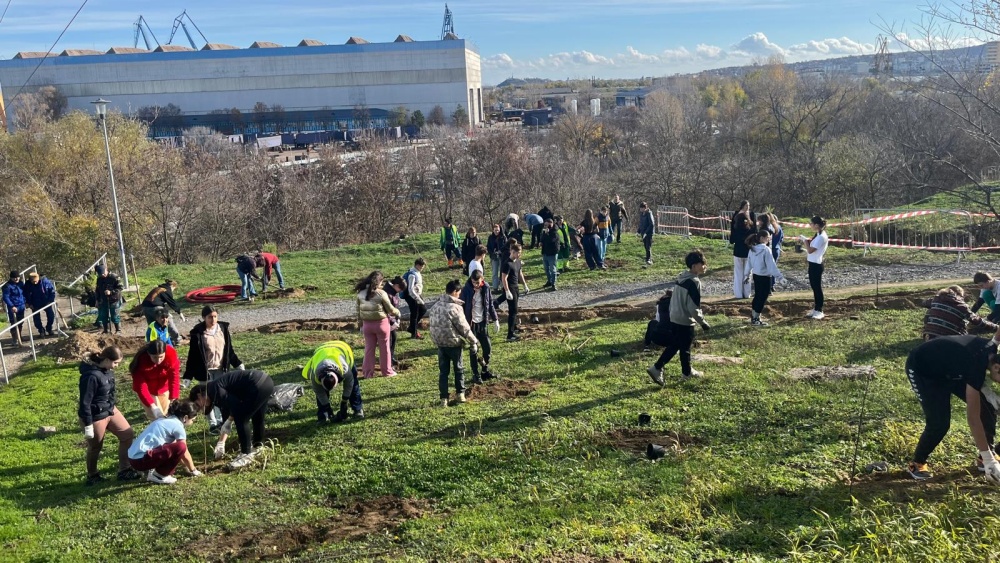 Campanie de plantare în zona cartierului „Dallas”: 800 de puieţi pentru un viitor mai verde