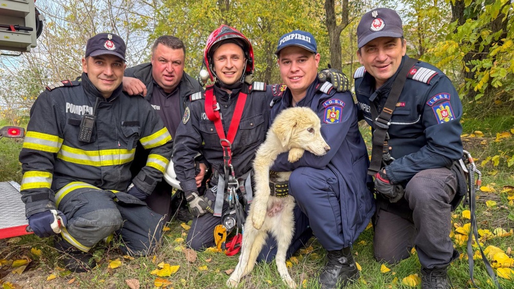 Căţeluşă salvată de pompierii tulceni dintr-o fântână adâncă de 15 metri