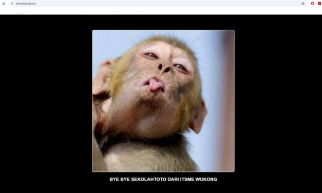 Primăria Tulcea nu a depus plângere în urma atacului cibernetic de săptămâna trecută