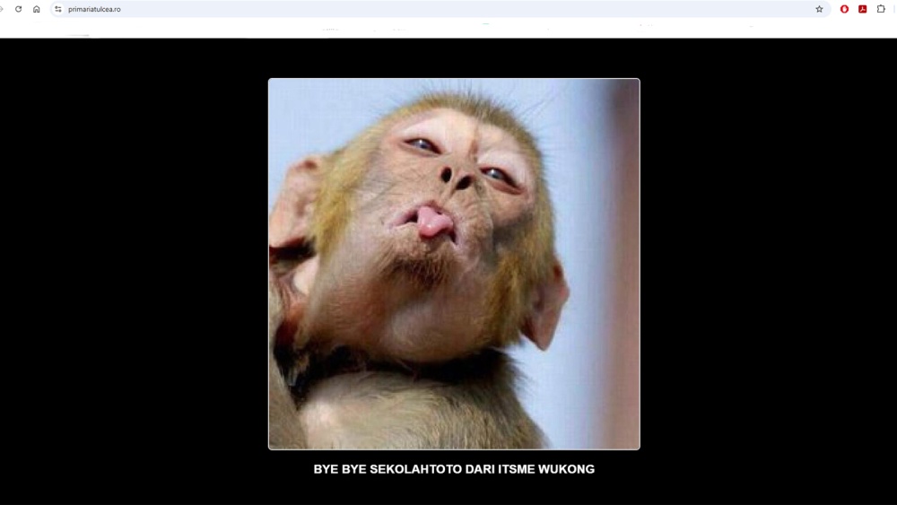 Primăria Tulcea nu a depus plângere în urma atacului cibernetic de săptămâna trecută