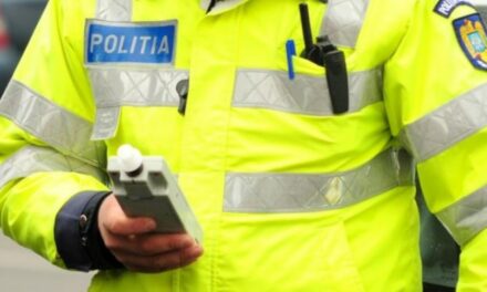 Tânără de 20 de ani din Niculiţel, prinsă la volan băută şi fără permis. Şi ea şi proprietarul maşinii au fost reţinuţi