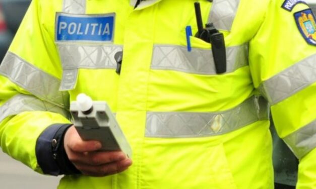 Tânără de 20 de ani din Niculiţel, prinsă la volan băută şi fără permis. Şi ea şi proprietarul maşinii au fost reţinuţi