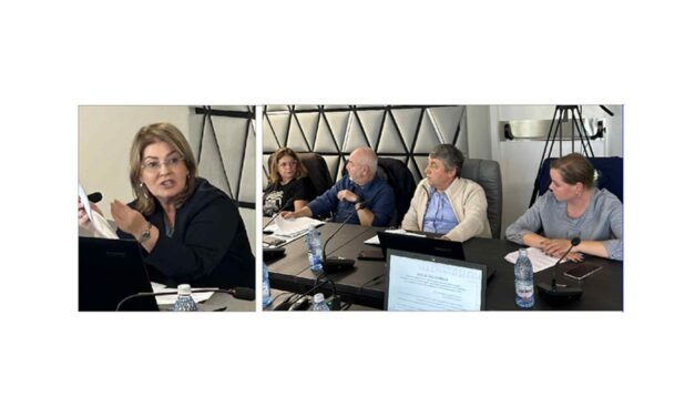 Viceprimarul Andaluzia Luca, atac la consilierii AUR care s-au abţinut de la vot: „Se întăreşte ideea că nu se citesc proiectele de hotărâre”