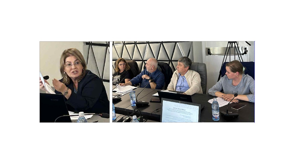 Viceprimarul Andaluzia Luca, atac la consilierii AUR care s-au abţinut de la vot: „Se întăreşte ideea că nu se citesc proiectele de hotărâre”