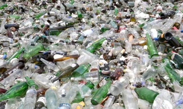 Fraudă de peste un milion de euro prin reciclarea fictivă a deşeurilor la Tulcea