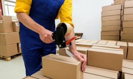 Firmele de curierat din Tulcea, verificate de inspectorii de muncă