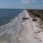 Afaceri ilegale în Delta Dunării. Statul vrea să recupereze terenuri din Murighiol, Sfântu Gheorghe şi Sulina