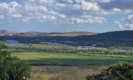 Refacerea zonei Zaghen: intervenţia pilot se finalizează luna aceasta