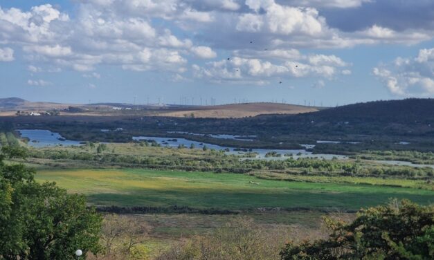 Refacerea zonei Zaghen: intervenţia pilot se finalizează luna aceasta