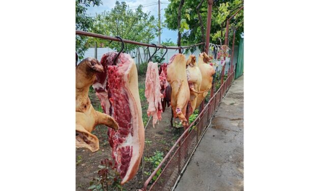Tulcenii îşi scot porcii la vânzare pe internet, atât în viu cât şi tranşat