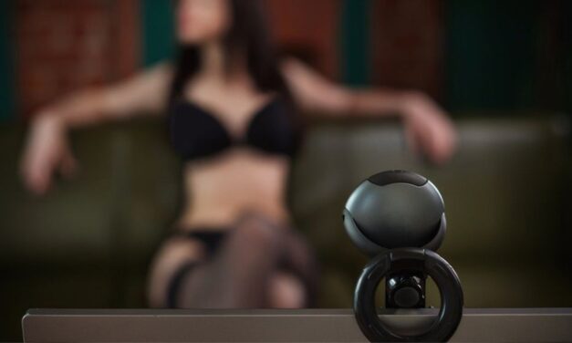 ANAF, cu ochii pe videochat. La Tulcea, o fată a făcut peste jumătate de milion de lei, dar nu i-a declarat