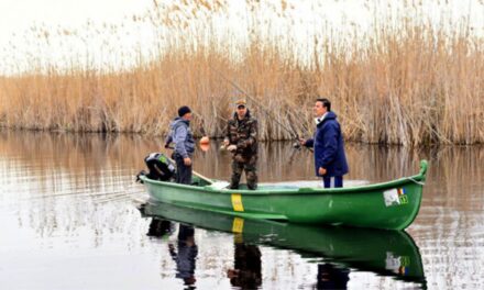 Dispare ANPA, apare ANADSPA. Regimul permiselor de pescuit recreativ din Delta Dunării rămâne neschimbat