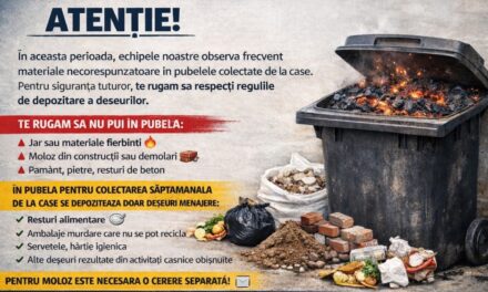 Tulcenii, rugaţi să nu mai arunce jarul la gunoi