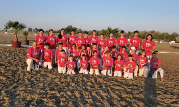 Retrospectiva karatiştilor de la Nippon Budo Sport şi Palatul Copiilor pentru 2025: Peste 300 de medalii câştigate