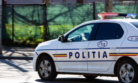 Scandal între romi pentru custodia unui bebeluş de 10 luni, într-o benzinărie din Babadag. Două persoane rănite, şapte urmărite penal