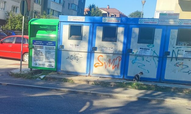 Colectarea separată a deşeurilor textile în Tulcea: peste 58 de tone adunate în 2025 din 11 puncte stradale