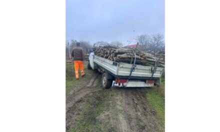 Hoţ de lemne depistat de poliţiştii din Măcin