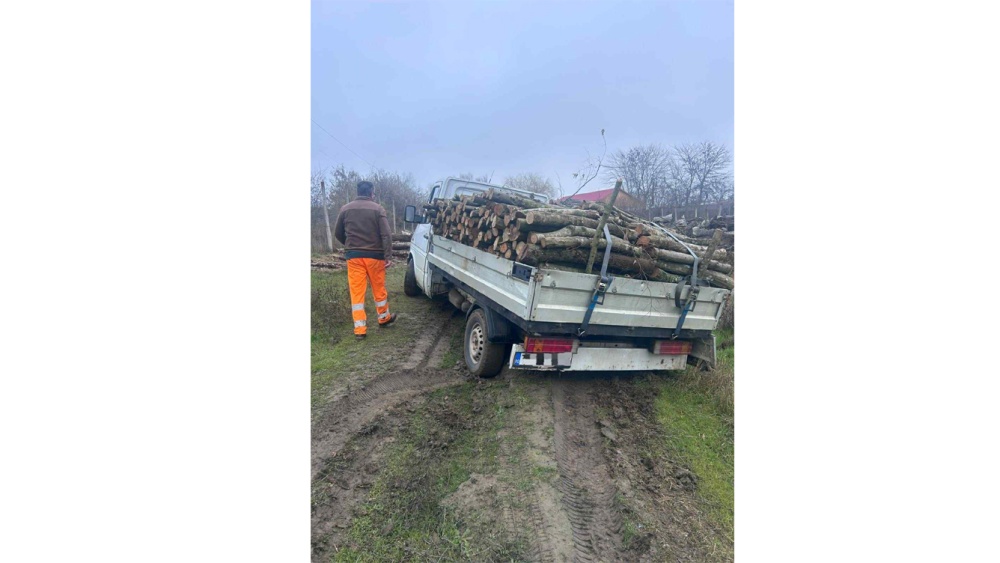 Hoţ de lemne depistat de poliţiştii din Măcin