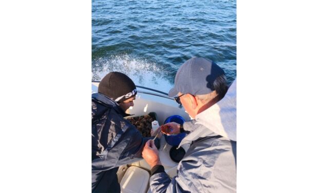 Moluştele şi rapanele din Marea Neagră, sigure pentru consum, arată analizele de laborator