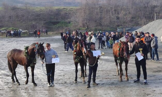 Spectacol ecvestru de Bobotează la Niculiţel