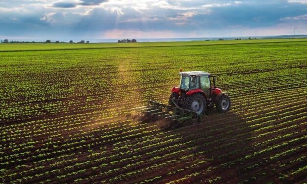 Un militar şi experţi AFIR din Tulcea şi Constanţa, acuzaţi de fraudă cu fonduri europene