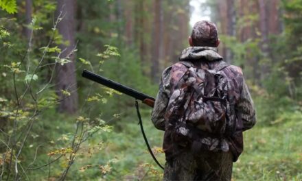 Vânător fără autorizaţie, prins în pădure la Nifon. Poliţiştii acţionează în tot judeţul pentru combaterea braconajului cinegetic