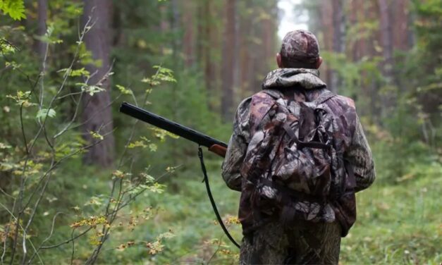 Vânător fără autorizaţie, prins în pădure la Nifon. Poliţiştii acţionează în tot judeţul pentru combaterea braconajului cinegetic