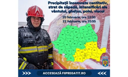 Cod Galben de vreme severă pentru acest weekend, în judeţul Tulcea: vânt puternic, ninsori, polei şi viscol