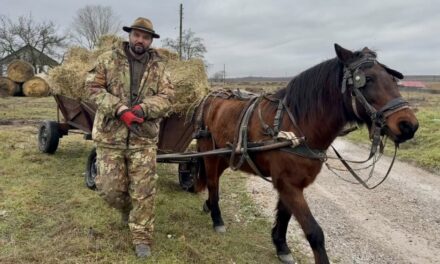 Dr. Ştefan Răileanu, despre situaţia cailor din Grindul Dranov: „Toţi au dat pe media păreri fără să fie realmente specialişti în medicină veterinară sau zootehnie”