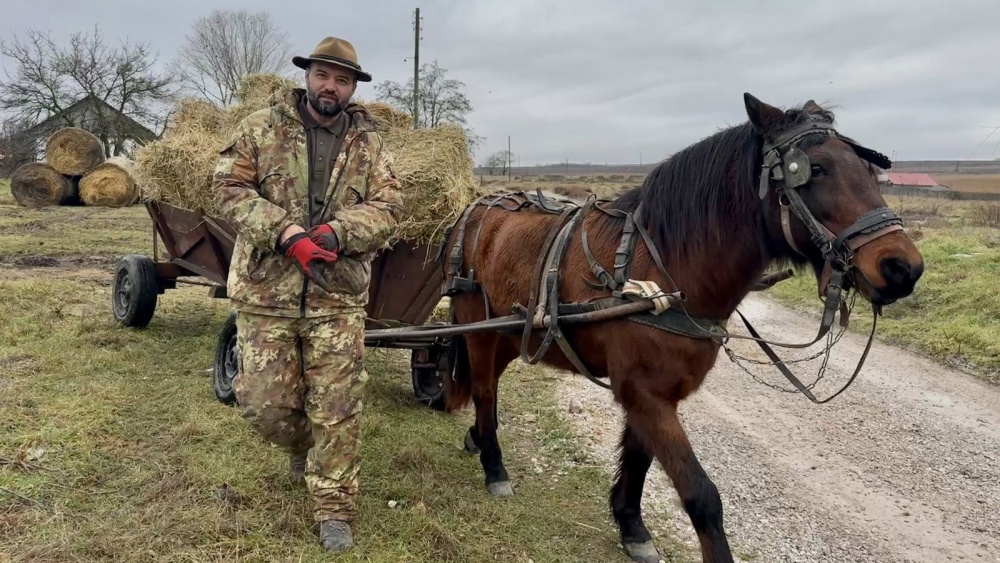 Dr. Ştefan Răileanu, despre situaţia cailor din Grindul Dranov: „Toţi au dat pe media păreri fără să fie realmente specialişti în medicină veterinară sau zootehnie”