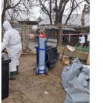 Sute de păsări domestice şi exotice răpuse de gripa aviară la gospodăria Mănăstirii Saon