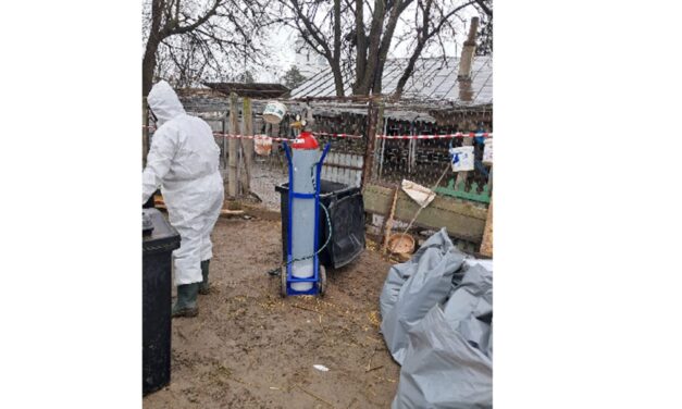 Sute de păsări domestice şi exotice răpuse de gripa aviară la gospodăria Mănăstirii Saon