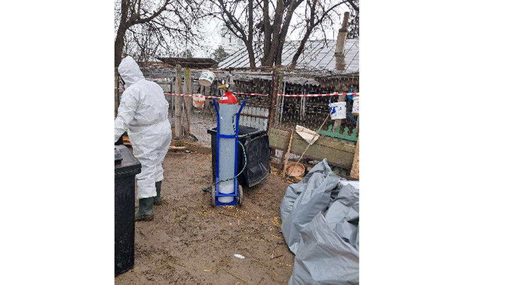 Sute de păsări domestice şi exotice răpuse de gripa aviară la gospodăria Mănăstirii Saon