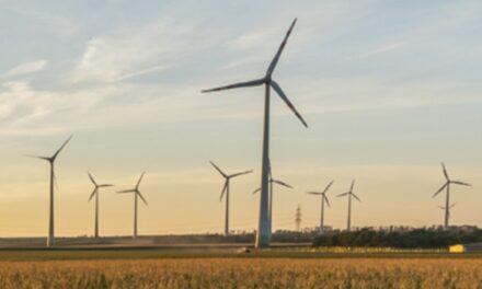 Distrugeri de instalaţii eoliene în Tulcea