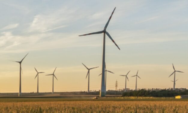 Distrugeri de instalaţii eoliene în Tulcea