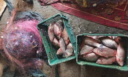 Percheziţii la Iazurile: aproape 300 kg de peşte, kilometri de setci şi 145 de păsări împuşcate găsite la domiciliile a trei bărbaţi