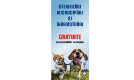 Primăria Măcin va steriliza gratuit câinii deţinuţi de locuitorii oraşului