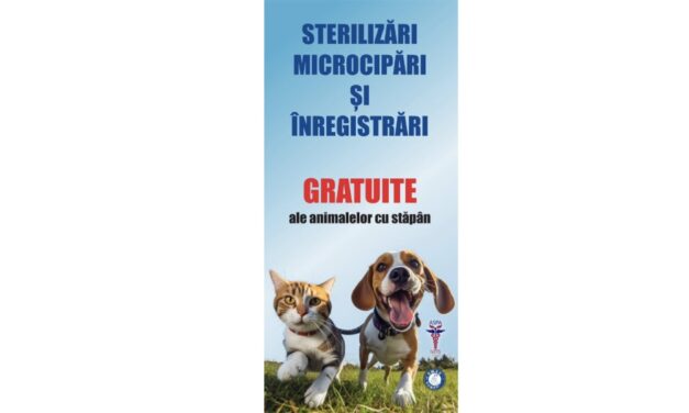 Primăria Măcin va steriliza gratuit câinii deţinuţi de locuitorii oraşului