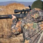 Vânătorii, „vânaţi” de ONG-işti: cotele de recoltă, anulate de instanţă