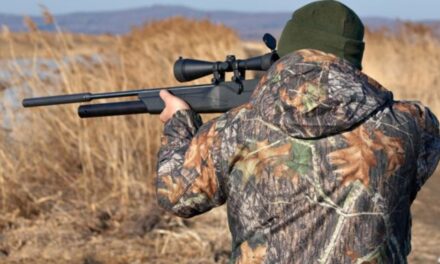 Vânătorii, „vânaţi” de ONG-işti: cotele de recoltă, anulate de instanţă