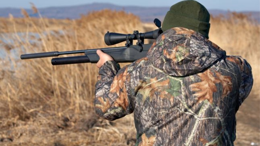 Vânătorii, „vânaţi” de ONG-işti: cotele de recoltă, anulate de instanţă