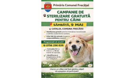 Campanie de sterilizare gratuită pentru câini în comuna Frecăţei