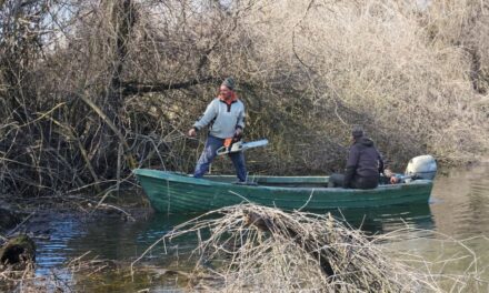 Lucrări de curăţare a canalelor din Delta Dunării