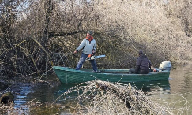 Lucrări de curăţare a canalelor din Delta Dunării