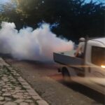 Încep acţiunile anti-ţânţari în Tulcea