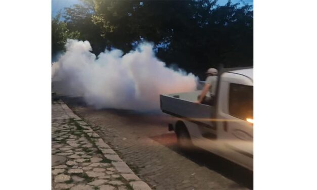 Încep acţiunile anti-ţânţari în Tulcea