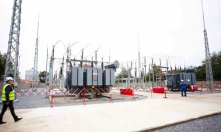 Reţele Electrice România a investit circa 1,4 miliarde de lei în 2025 în modernizarea şi digitalizarea reţelelor electrice de distribuţie