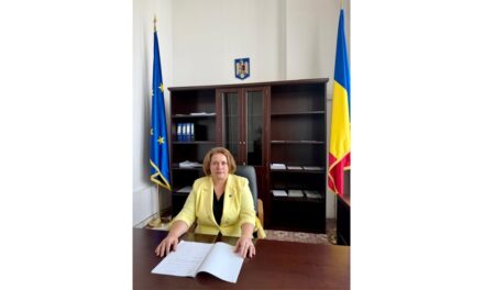 Deputatul de Tulcea Elena-Laura Toader: Lipsa unei strategii coerente în domeniul energiei şi mediului nu este doar o problemă administrativă, ci o vulnerabilitate strategică